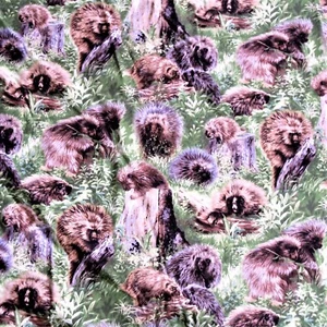Tessuto Fabri-Quilt Porcospini Cortile Banditi II Design #112-1182 Trapuntatura BTY - Foto 1 di 2