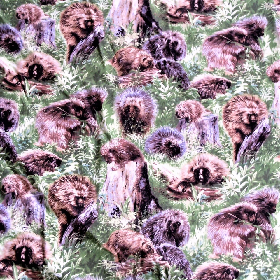 Tecido Fabri-Colcha Porcos-Espinhos Quintal Bandits II Design #112-1182 Acolchoamento BTY - Imagem 1 de 2