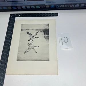 KUNSTPAPIER ÄTZEN FOTODRUCK Hans Kleiber schwarze Enten Mallards Wasserjagd Land - Bild 1 von 18