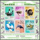 Blok na temat: Ptaki w centralnym zoo autorstwa Pjongjang Birds 35