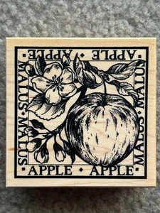 PSX GUMMISTEMPEL G-1300 ÄPFEL AUF ZWEIG MALUSBLUME - Bild 1 von 3