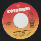 TOAD THE WET SPROCKET: Fall Down/All Right - Columbia 90s 45 rpm