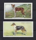 Rare 1937 & 1938 UK Dog Art Cigarette Card Collection Set 2 SMOOTH COATED COLLIE