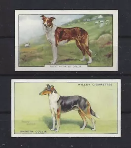 Rare 1937 & 1938 UK Dog Art Cigarette Card Collection Set 2 SMOOTH COATED COLLIE - Imagen 1 de 1