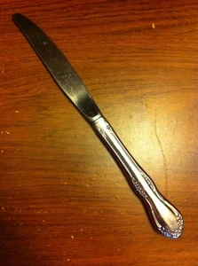 Wm A Rogers Oneida Stainless Floral Scroll MANSFIELD Hollow Dinner Knife 9" - Picture 1 of 4