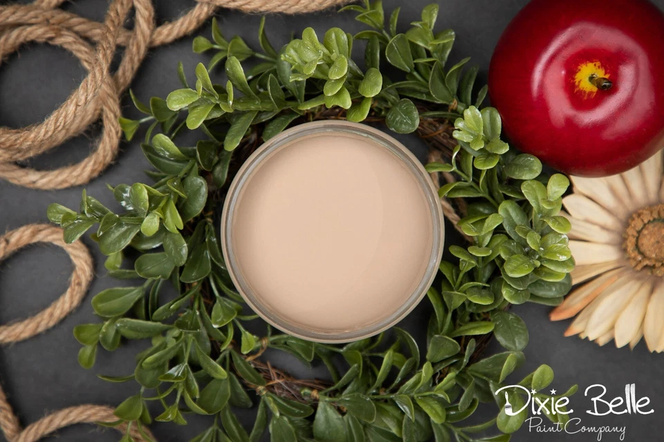 Pintura mineral de tiza semi retirada Dixie Belle - Masilla 8 onzas Foto 1 de 1