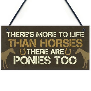 Funny Horse Pony Gifts For Girls Women Hanging Stable Bedroom Birthday Sign - Picture 1 of 9