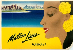 Matson STEAMSHIP Line ~HAWAII~ Gorgeous Old Luggage Label, circa 1950 - Picture 1 of 1
