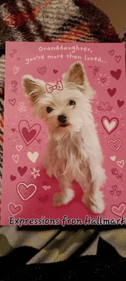 Expressions From Hallmark 情人节卡片孙女 — 第 1/2 张图片