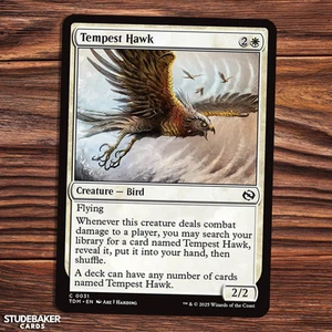 Tempest Hawk - Tarkir Dragonstorm - Magic the Gathering - Picture 1 of 1