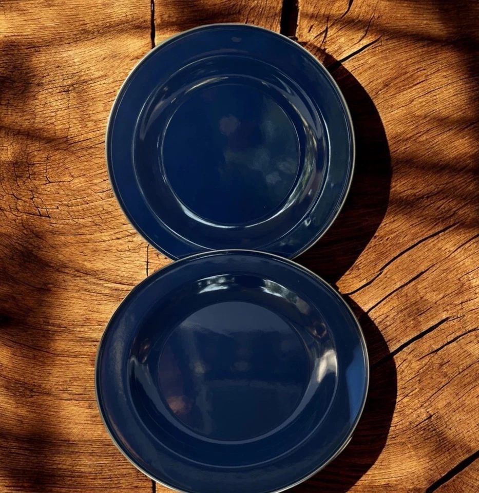 Discontinued Pottery Barn Enamelware Plate Blue 10”  Set x2 Metal Partyware NOS - Image 1 of 4