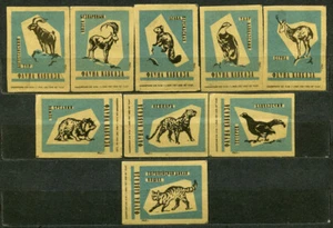 1962, FAUNA OF CAUCASUS, ANIMALS, SET OF 9 RARE RUSSIAN MATCHBOX LABELS, BLUE - Picture 1 of 1