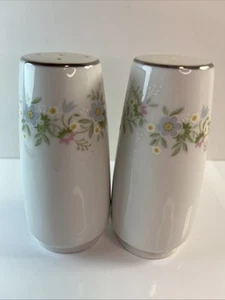 Johann Haviland Porcelain Salt & Pepper Shakers Bavaria Germany Platinum Trim J1 - Picture 1 of 5