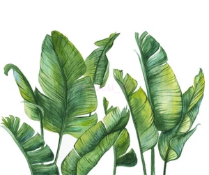 Tropical Leaves Green Plant Wall Sticker PVC Decal Nursery Art Mural Decor NEW - Picture 1 of 8