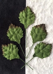 10 hojas de girasol hoja pequeña corona floral álbum de recortes fabricación de tarjetas boda picnic - Imagen 1 de 4