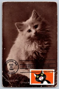 #3232 Bright Eyes Cat FDC Maxi Card on used Vintage Postcard - Picture 1 of 2