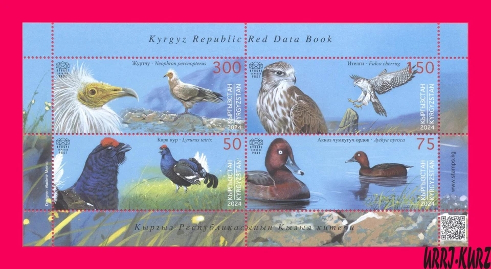 KIRGUISTÁN 2024-2025 Naturaleza Fauna Aves Urogallo Pato Saker Halcón Buitre s-s MNH Foto 1 de 1