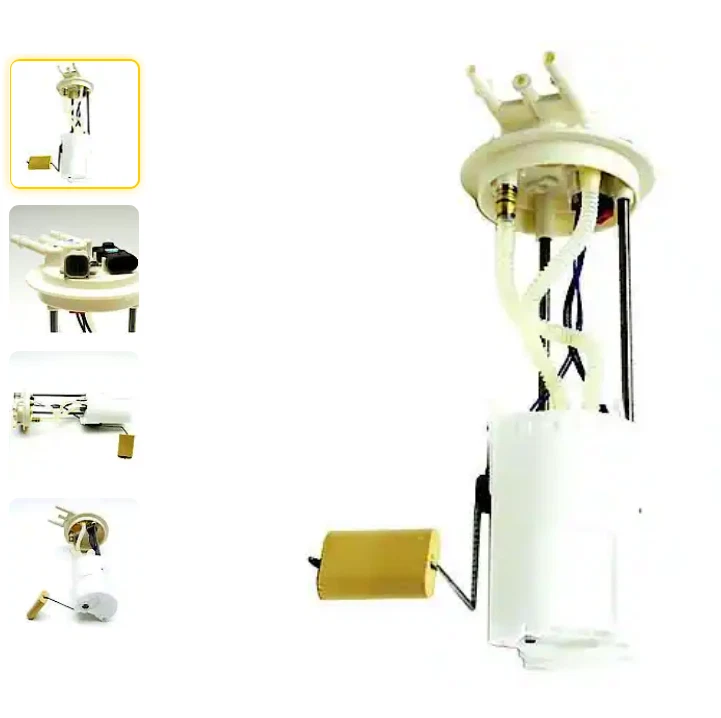 Conjunto de módulo de bomba de combustible Delphi FG0289 Foto 1 de 1