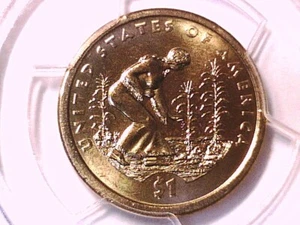 2009 P Native American Dollar PCGS MS 66 Weak Edge Lettering Position A 15650512 - Picture 1 of 3