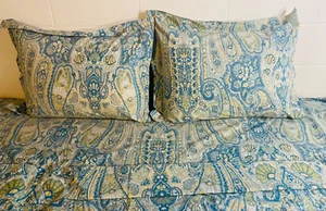 Pottery Barn Rosalie Duvet Cover Blue Full/ Queen 3pc Set Floral Paisley Rare - Picture 1 of 16