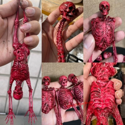 1/12 1/6 Scale Human Skeleton Half-body Flesh Blood Skeleton Model Accessory - Image 1 of 4