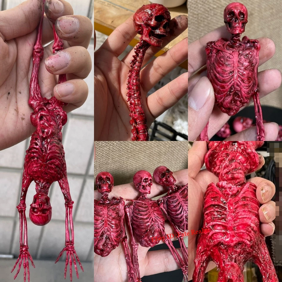 1/12 1/6 Scale Human Skeleton Half-body Flesh Blood Skeleton Model Accessory - Image 1 of 4