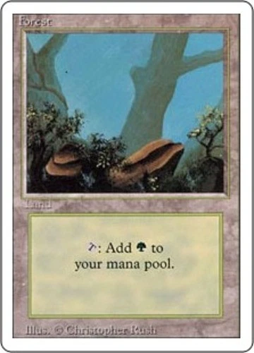 Forest (Rocks) - Revised Edition # MTG Magic The Gathering - Image 1 of 1