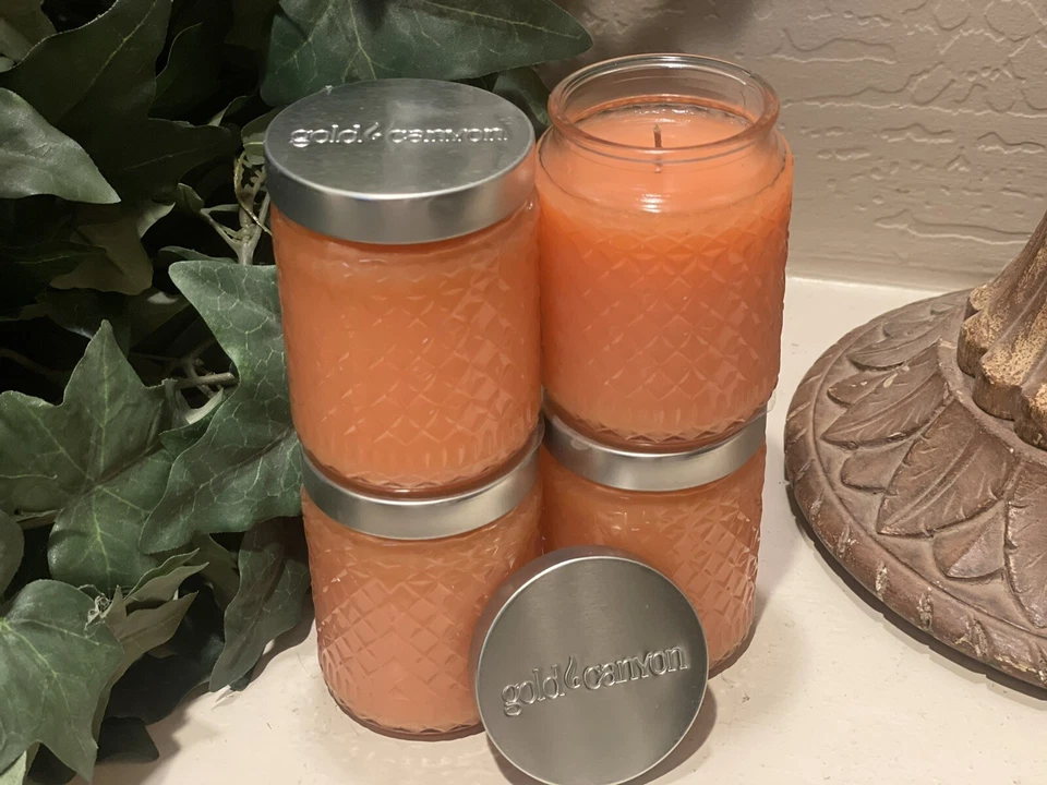 4-5oz Mango 🥭Mojito Gold Canyon Velas ¿Alguna otra fragancia? NUEVO* Foto 1 de 1
