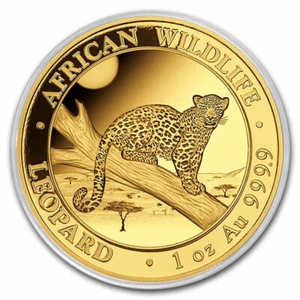 2021 Somalia Leopard 1 oz Goldmünze Gold Coin BU - NEW - Mintage 1,000 worldwide - Bild 1 von 4