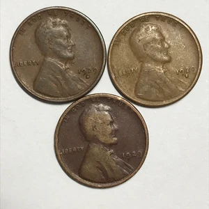 1929P 1929D und 1929S PDS Lincoln Wheat Cents sehr schöne Münze 98 - Bild 1 von 1