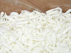 1 1/2 " CRAPPIE CURL TAIL GRUBS 100  BODIES in WHITE - Picture 1 of 2