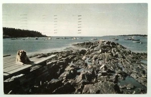 Vintage Orr Island Maine Postkarte über Lowell's Cove mit Hund & Booten - Bild 1 von 2