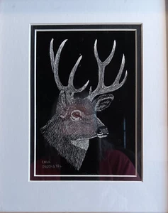  original scratchboard drawing etching deer elk wapiti moose Carol Proebstel - Picture 1 of 1