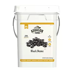 Dried Black Beans 4-Gallon Pail, Bulk Food Storage, Emergency Food Supply, Every - Picture 1 of 7