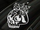 flaming skull head vinyl decal window sticker flames motorcycle helmet car truck