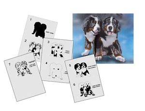 AS-342 Hund Bernersennen Step by Step Airbrush Schablone für Acryl Spray Wand - Picture 1 of 5