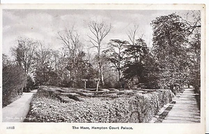 Middlesex Postkarte - Das Labyrinth - Hampton Court Palace N406 - Bild 1 von 2