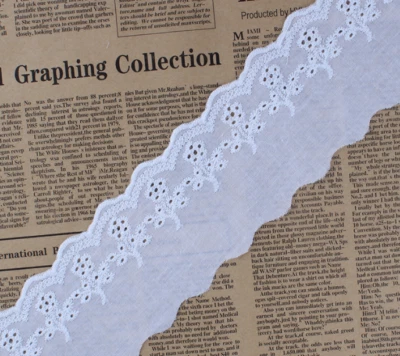 Cinta de algodón bordada blanca de 15 yardas para el hogar hágalo usted mismo ropa tela de costura  Foto 1 de 2