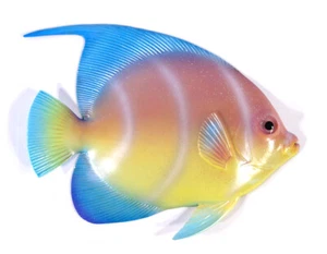 Handbemalt 12" Glitzer Cartoon Tropische Fische Wandhalterung Dekor Rosa Winkel 8C-1 - Bild 1 von 3