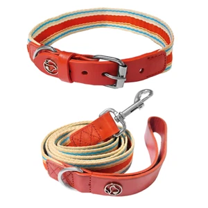 Juego de collar y correa de nailon ajustable duradero para perros para caminar, jugar, entrenar - Imagen 1 de 7