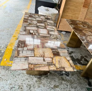 "Handmade Petrified Wood & Agate Coffee/Center Table - Unique Gemstone Agate Top - Picture 1 of 8