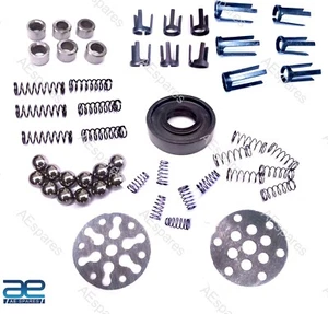 Kit de reparación de bomba hidráulica para Ford 4000 3000 4600 2600 4110 4610 2000 3600 ECs - Imagen 1 de 11