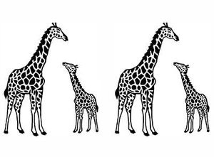 Giraffe Mama Baby 4 Stck. 2 Zoll schwarz verschmolzene Glas Aufkleber - Bild 1 von 1