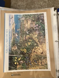 2008 FirstDay US Stamps Only Twenty Nine “American Commemorative Cancellations" - Picture 1 of 24