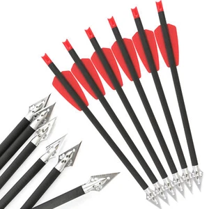 8'' Archery Bolts Pure Carbon Arrow Shaft 2'' Rubber Vanes Bow Hunting Target - Picture 1 of 9