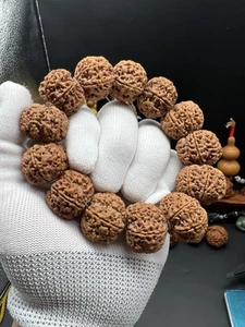 Pulsera Rudraksha 25x20mm Excelente Seis Caras 25大尺寸六瓣蜂窝金刚菩提手串 - Imagen 1 de 13