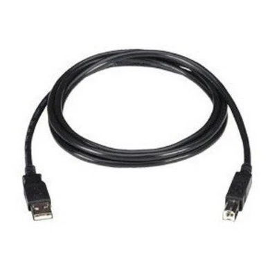Black Box USB 2.0 A to Mini B Cable - Type A Male USB - Mini Type B Male USB - - Image 1 of 2