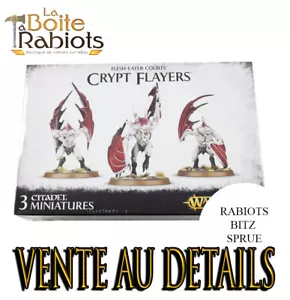 Warhammer Age of Sigmar Flesh eaters courts Crypt Horrors/Infernal Courtier - Imagen 1 de 30