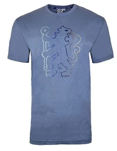 Chelsea Football T Shirt Boys 10 11 Years Kids Official Team Crest Top CHT76 - Picture 1 of 1