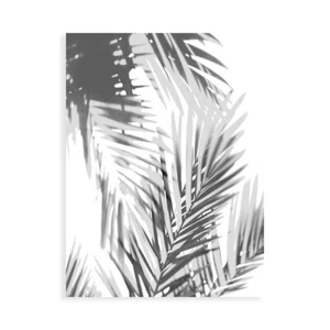 Stampa su Tela su Carta Poster o Quadro Miller Melonie Palm Shadows II - Picture 1 of 2